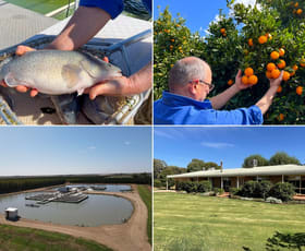 Rural / Farming commercial property for sale at 187 Morley Road Yoogali NSW 2680