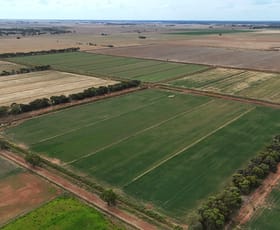 Rural / Farming commercial property for sale at 270 Wharparilla Road Wharparilla VIC 3564