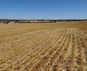 Rural / Farming commercial property for sale at Grout Road Cuballing WA 6311