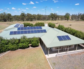 Rural / Farming commercial property for sale at 357 Calleen Lane West Wyalong NSW 2671