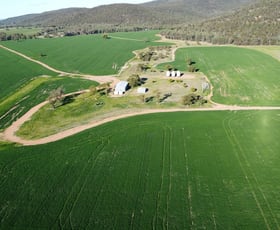 Rural / Farming commercial property for sale at Temora NSW 2666