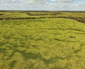Rural / Farming commercial property for sale at 9089-9096 Kilcummin Diamond Downs Road Pasha QLD 4721