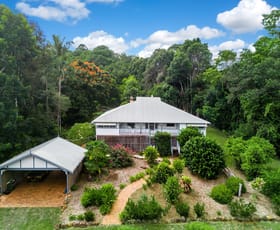 Rural / Farming commercial property for sale at 465 Rosebank Road Rosebank NSW 2480