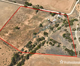 Rural / Farming commercial property for sale at 17 Jackman Road Bright SA 5381
