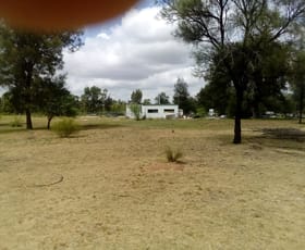 Rural / Farming commercial property for sale at 495 Staines Road Tara QLD 4421