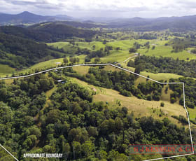 Rural / Farming commercial property for sale at Lot 2 Bakers Creek Road Bakers Creek NSW 2447