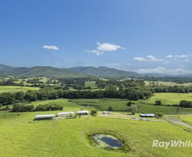 Rural / Farming commercial property for sale at 345 Markwell Back Road Bulahdelah NSW 2423
