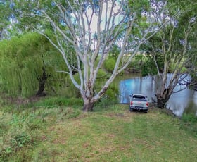 Rural / Farming commercial property for sale at 141 Lyndhurst Lane Rosenthal Heights QLD 4370