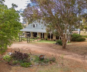 Rural / Farming commercial property for sale at 2472 Mitchell Highway Molong NSW 2866