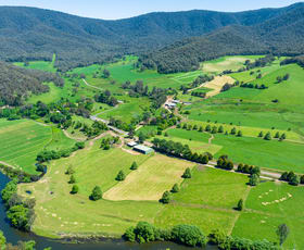 Rural / Farming commercial property for sale at 3082 Omeo Highway Tallandoon VIC 3701