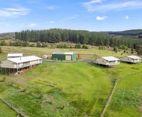 Rural / Farming commercial property for sale at 1192 Balingup-Nannup Road Southampton WA 6253