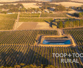 Rural / Farming commercial property for sale at 233 Pine Drive Nuriootpa SA 5355