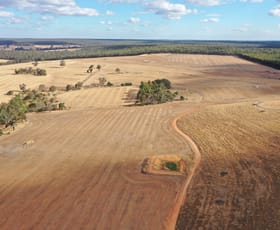 Rural / Farming commercial property for sale at 1548 Westbourne Road Mayanup WA 6244