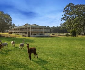 Rural / Farming commercial property for sale at 499 Singleton Road Laughtondale NSW 2775
