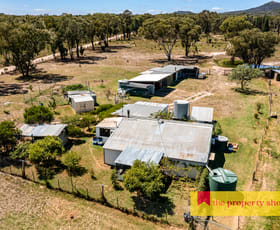 Rural / Farming commercial property for sale at 788 Yarrawonga Road Mudgee NSW 2850