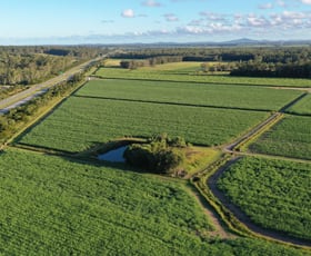 Rural / Farming commercial property for sale at 13 PACIFIC HIGHWAY Mororo NSW 2469