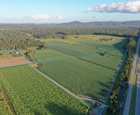Rural / Farming commercial property for sale at 13 PACIFIC HIGHWAY Mororo NSW 2469