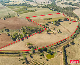 Rural / Farming commercial property for sale at 931 Kingsvale Road Young NSW 2594