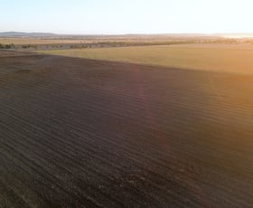 Rural / Farming commercial property for sale at Belah Plains Carlachy Road Gunning Gap Bogan Gate NSW 2876