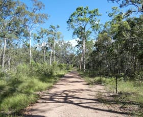 Rural / Farming commercial property for sale at 255 Mollenhagens Road Winfield QLD 4670