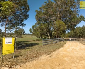 Rural / Farming commercial property for sale at 514 Porongurup Road Mount Barker WA 6324
