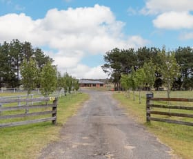 Rural / Farming commercial property for sale at 42 Burrabinga Road Tarago NSW 2580