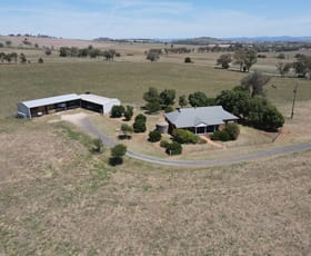 Rural / Farming commercial property for sale at 427 Gallaghers Road Canowindra NSW 2804