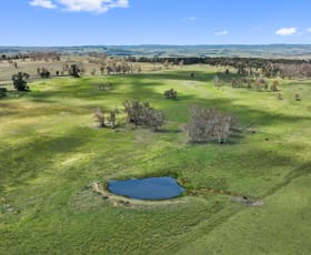 Rural / Farming commercial property for sale at "Huntingdon" 285 Brackendale Rd Walcha NSW 2354