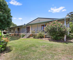 Rural / Farming commercial property for sale at "Huntingdon" 285 Brackendale Rd Walcha NSW 2354