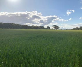 Rural / Farming commercial property for sale at Lot 22 Clackline-Toodyay Road Hoddys Well WA 6566