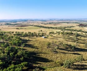 Rural / Farming commercial property for sale at 20R Red Hill Road Wongarbon NSW 2831