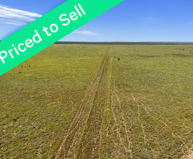 Rural / Farming commercial property for sale at Benmara Station Creswell NT 0852