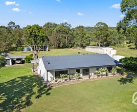Rural / Farming commercial property for sale at 1431 Maitland Vale Road Lambs Valley NSW 2335