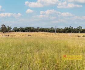 Rural / Farming commercial property for sale at 5/60 Beechworth Road Mudgee NSW 2850