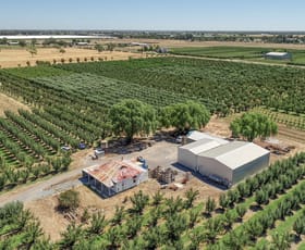 Rural / Farming commercial property for sale at 645 New Dookie Road Lemnos VIC 3631