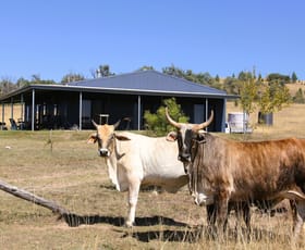 Rural / Farming commercial property for sale at 1854 Glenlyon Dam Road Mingoola QLD 4380