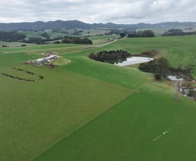 Rural / Farming commercial property for sale at 17 Walkers Road Rocky Cape TAS 7321