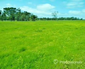 Rural / Farming commercial property for sale at 8464 Ulbrich Road Wandering WA 6308