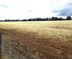 Rural / Farming commercial property for sale at Lots 10 & 11 Clohesseys Road Norong VIC 3682