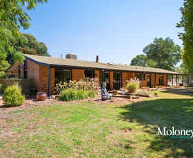 Rural / Farming commercial property for sale at 29 Cemetery Road Corowa NSW 2646
