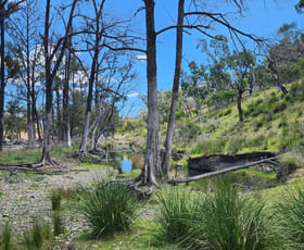 Rural / Farming commercial property for sale at Lot 2 Stanthorpe Texas Road Stanthorpe QLD 4380