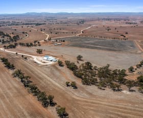 Rural / Farming commercial property for sale at 267 Mahood Road Wirrabara SA 5481