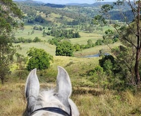 Rural / Farming commercial property for sale at 18 Gardner Road Jiggi NSW 2480