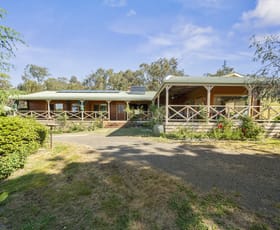 Rural / Farming commercial property for sale at 243 Davies Road Merrijig VIC 3723