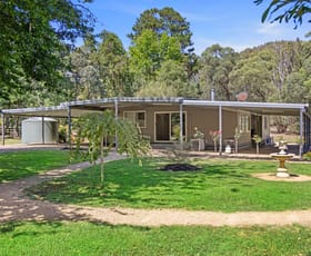 Rural / Farming commercial property sold at 335 Wilhelmina Falls Road Murrindindi VIC 3717