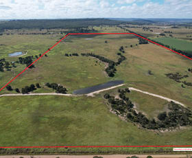 Rural / Farming commercial property for sale at 899 Weir Road Monto QLD 4630