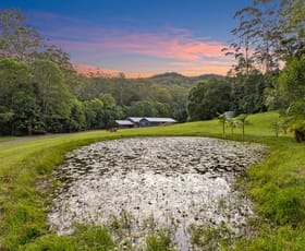 Rural / Farming commercial property for sale at 34 Escotts Lane Martinsville NSW 2265