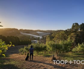 Rural / Farming commercial property for sale at 1 Stentiford Road Forest Range SA 5139