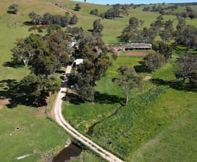 Rural / Farming commercial property for sale at 98 Rushmore Road Strathalbyn SA 5255