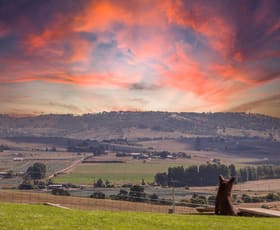 Rural / Farming commercial property for sale at 108 Thompsons Hill Retreat White Rock NSW 2795